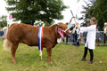 Malton Show 2024